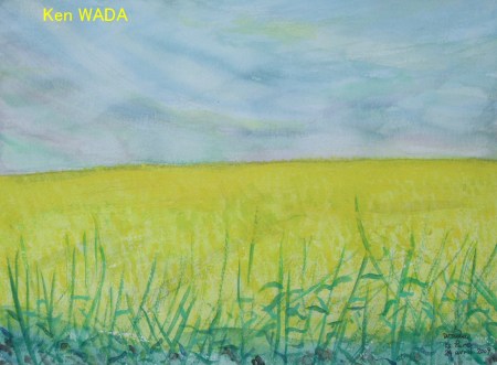 Les champs de colza 5 Les champs de colza 5