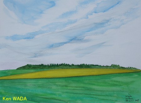 Les champs de colza 6 Les champs de colza 6