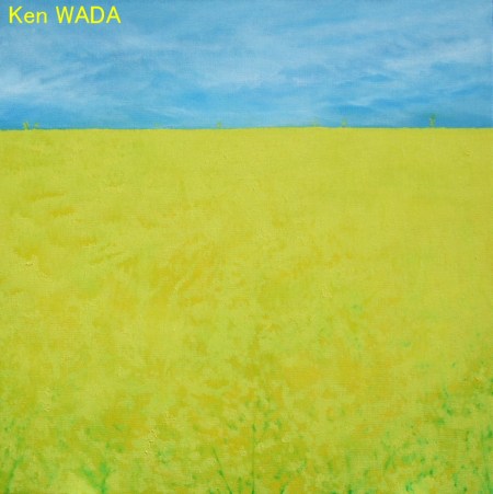 Les champs de colza 12 Les champs de colza 12