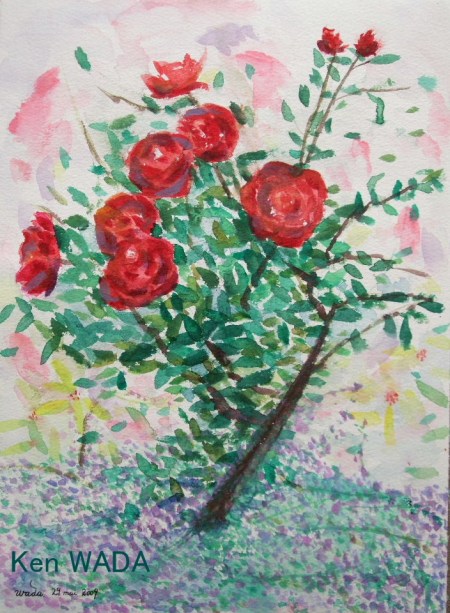 Roses dans le jardin