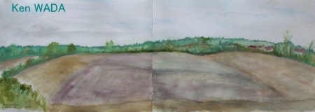 Les champs de Perche