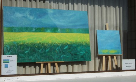 Les champs de colza 8 et 13 dans la grande vitrine!