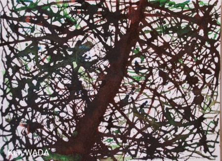 24 lettres aux arbres